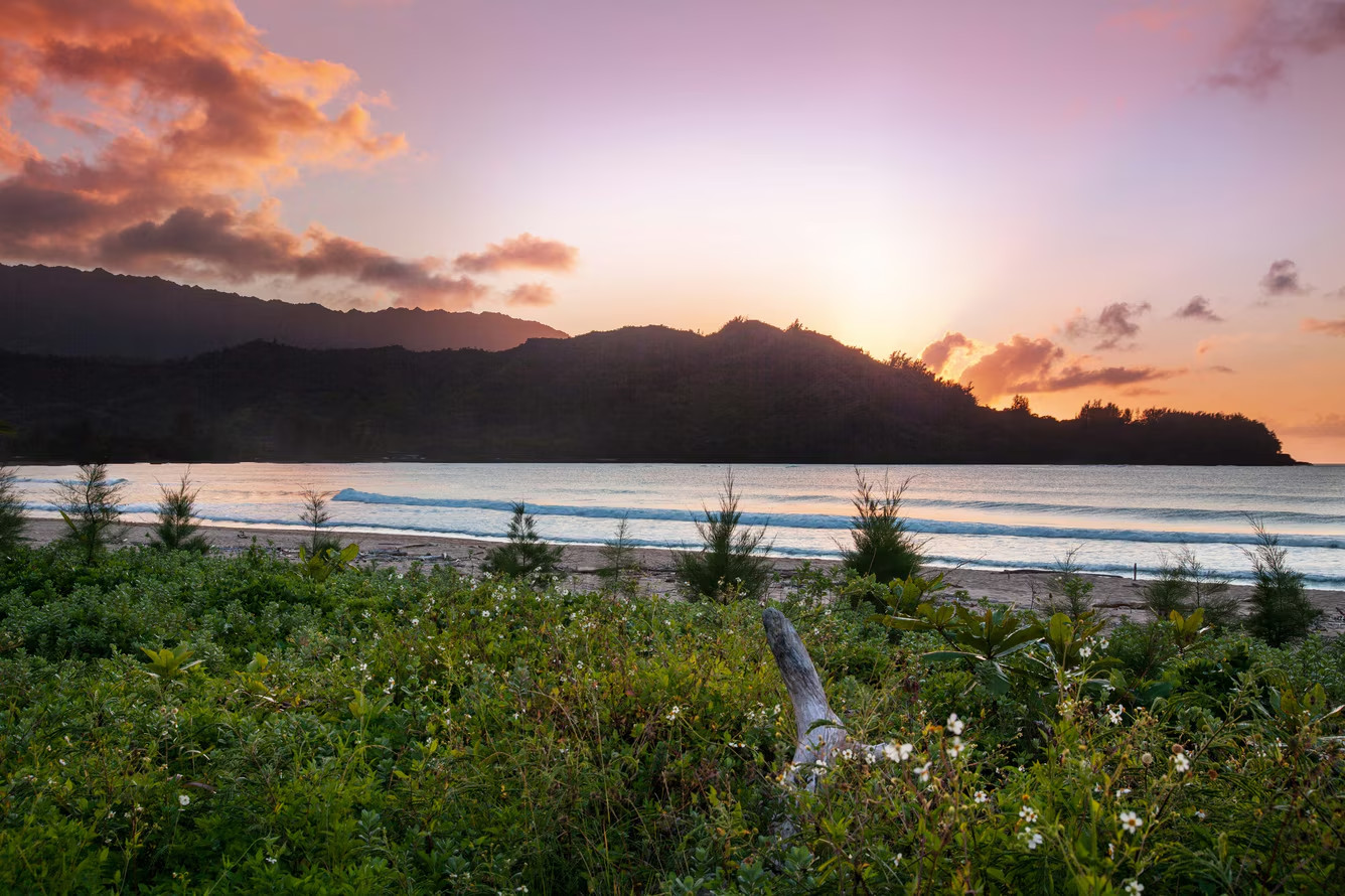 Marriott Westin Princeville Ocean Resort Villas 2 BR 7 Nights ANY YEAR Hotel