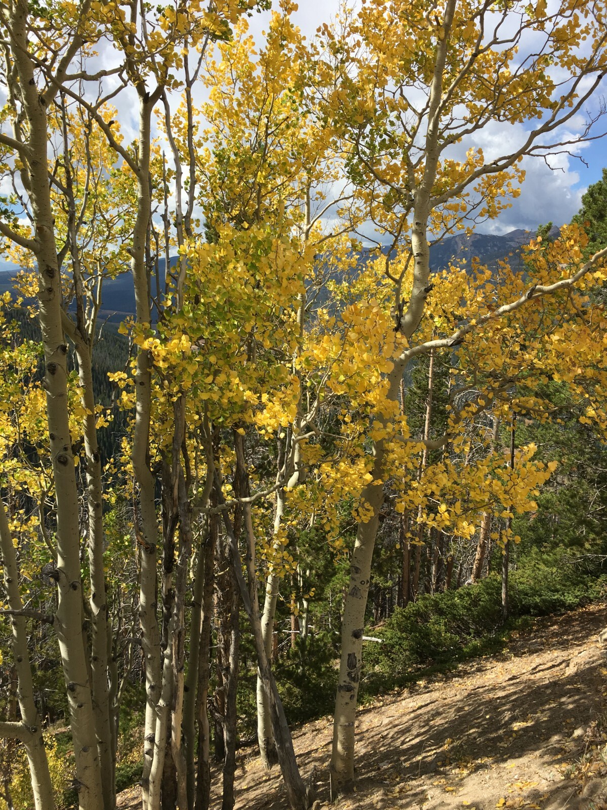 FALL- COLORADO September 19-26, 2026, WINTER PARK 2B 2BA, Sleep 6, Nights 7