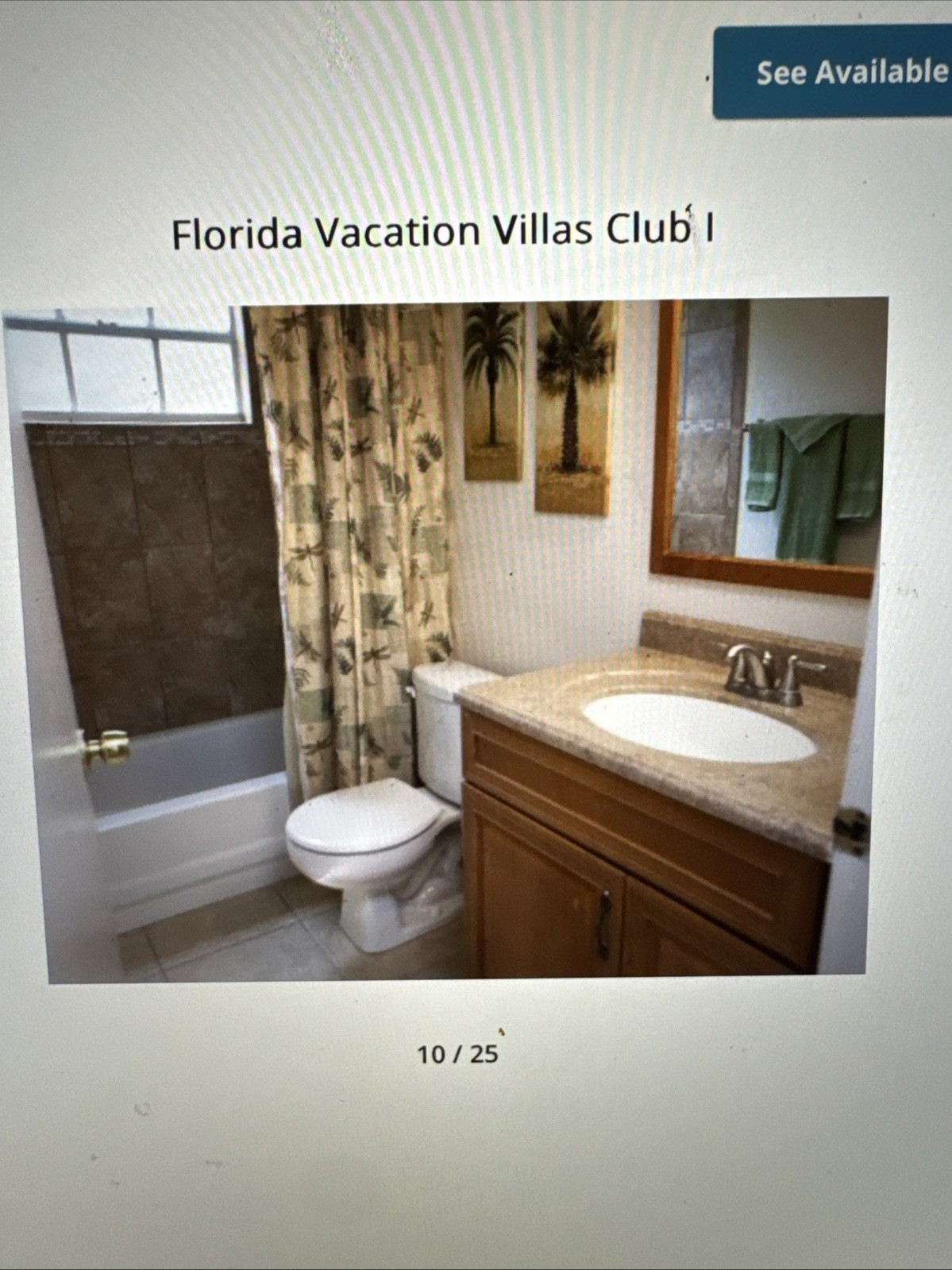 timeshare rental