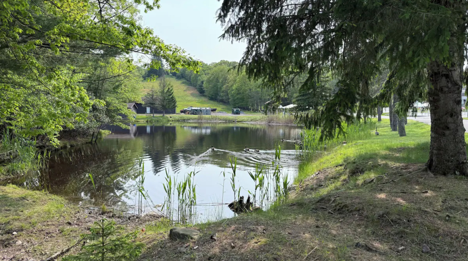 Willowbrook at Lake Harmony ~ PA ~ 1BR/Sleeps 4 ~ 7Nts Weekly Rentals 2026/27