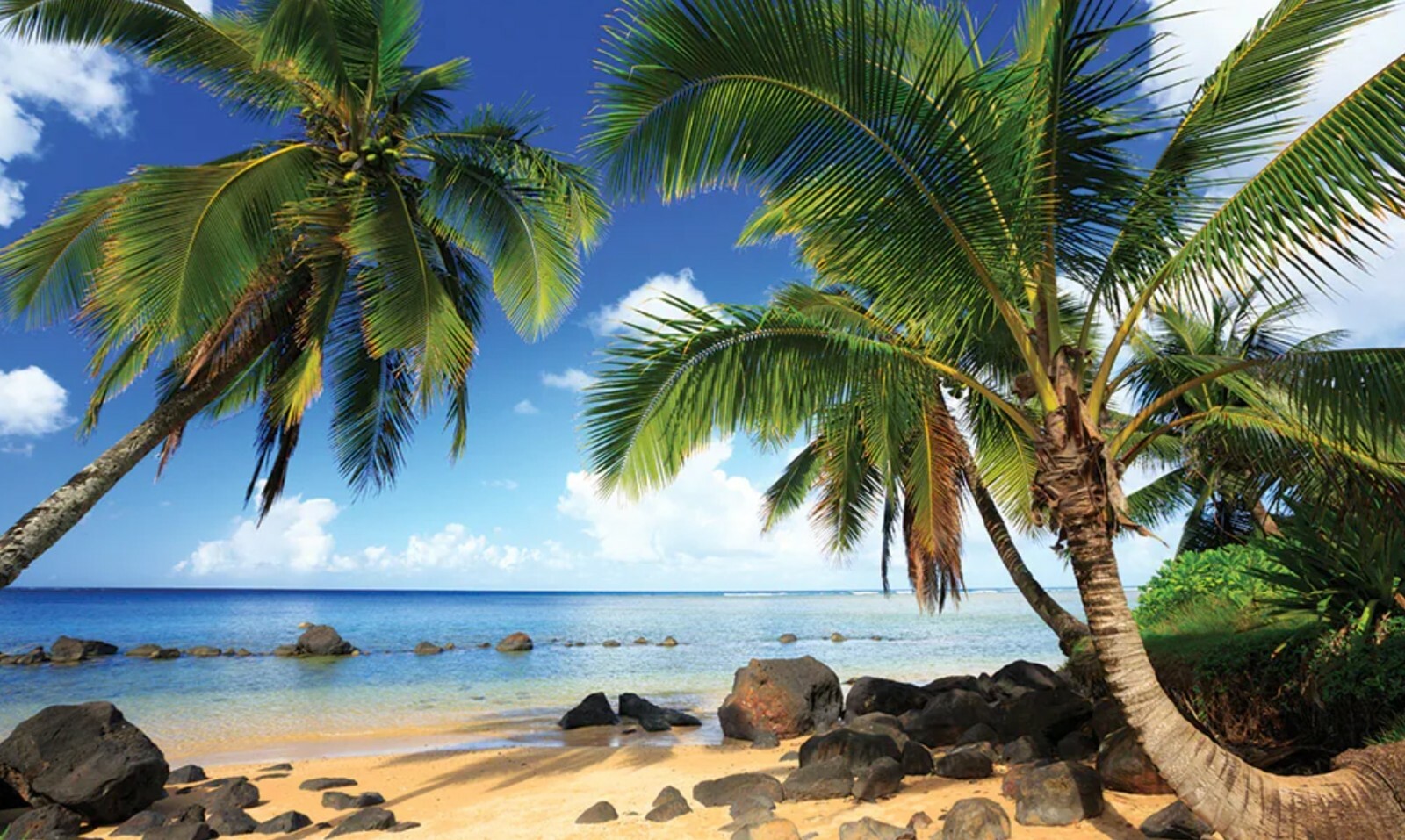 Club Wyndham Shearwater Resort Kauai Hawaii Hotel Princeville 7 Night 2023 2BR