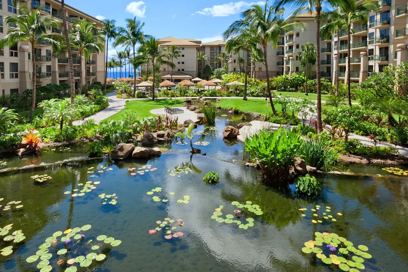Westin Kaanapali North, Oceanfront Studio Premium Villa, July 26 – Aug 2, 2026