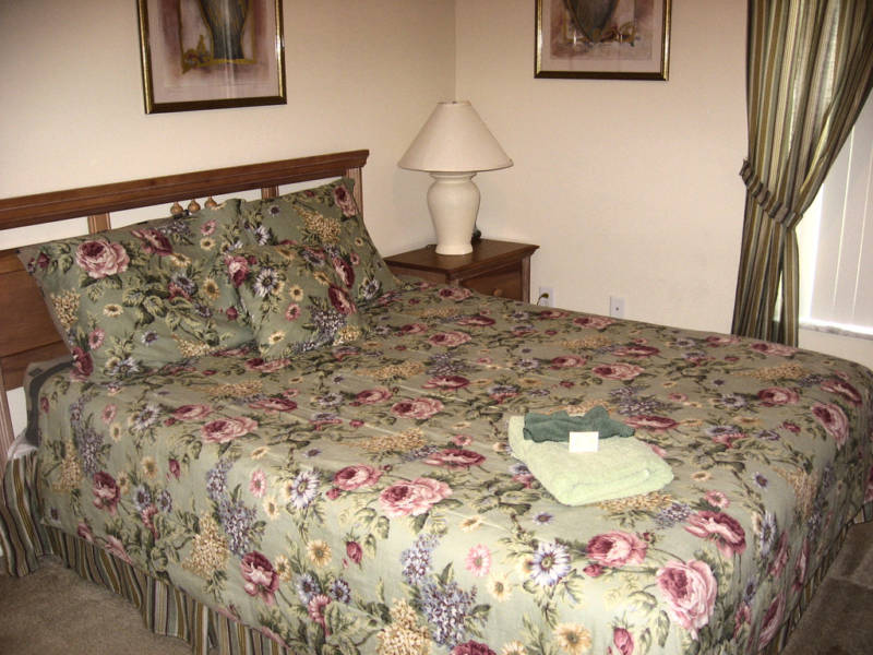 Disney/Florida Rentals – selected dates for 2023/2024 – call now