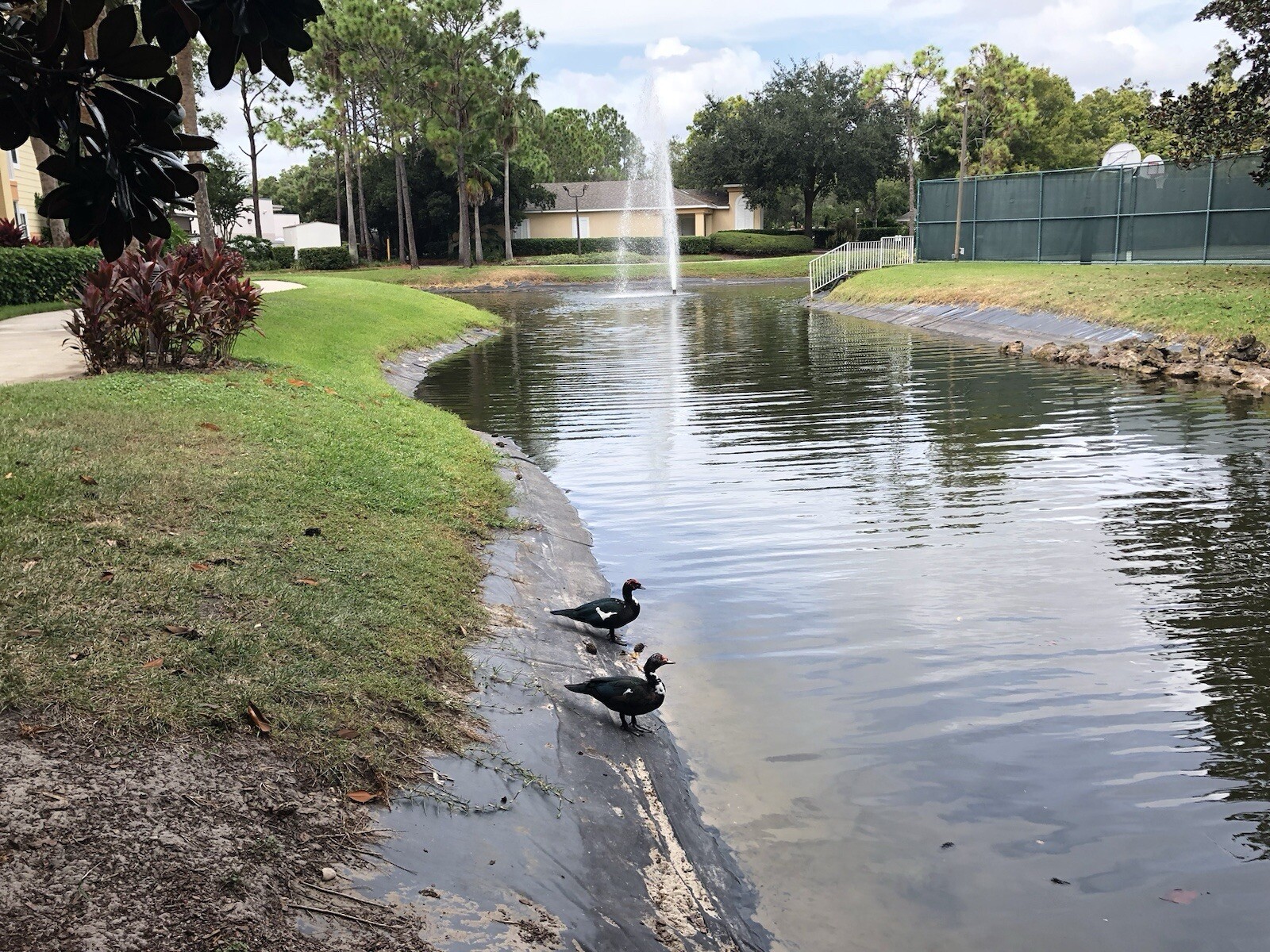 Sheraton Vistana Resort Orlando FL 2-bd Villa 7-Days Oct 3, 2026 by Disney World