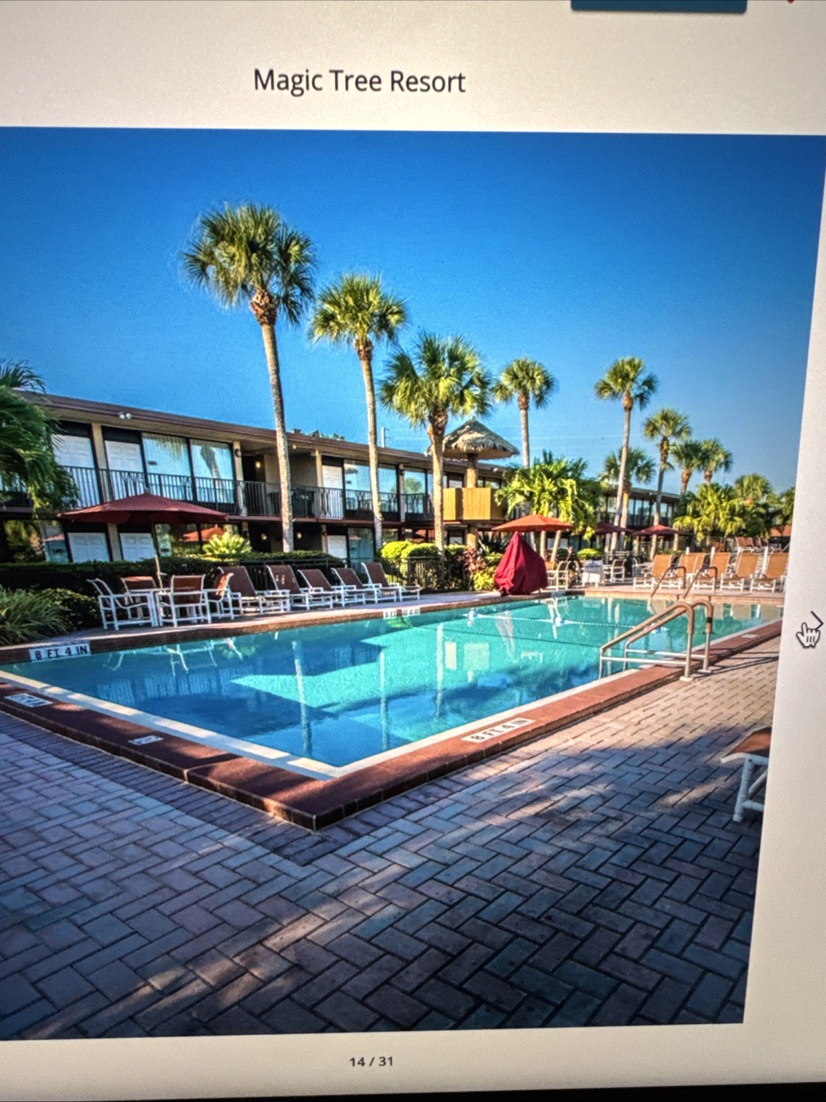Timeshare Rental