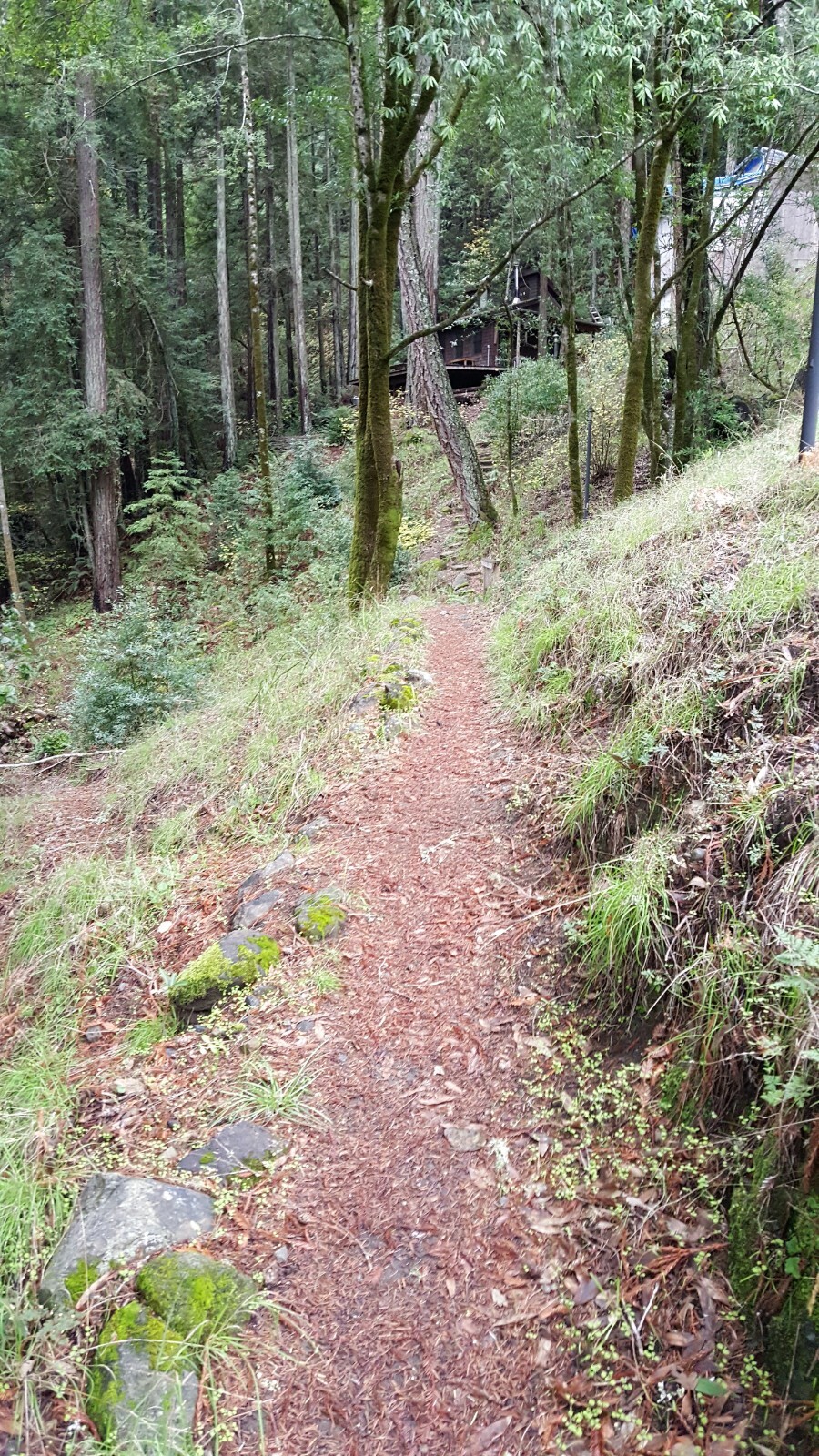 cabin rental in San Geronimo total privacy