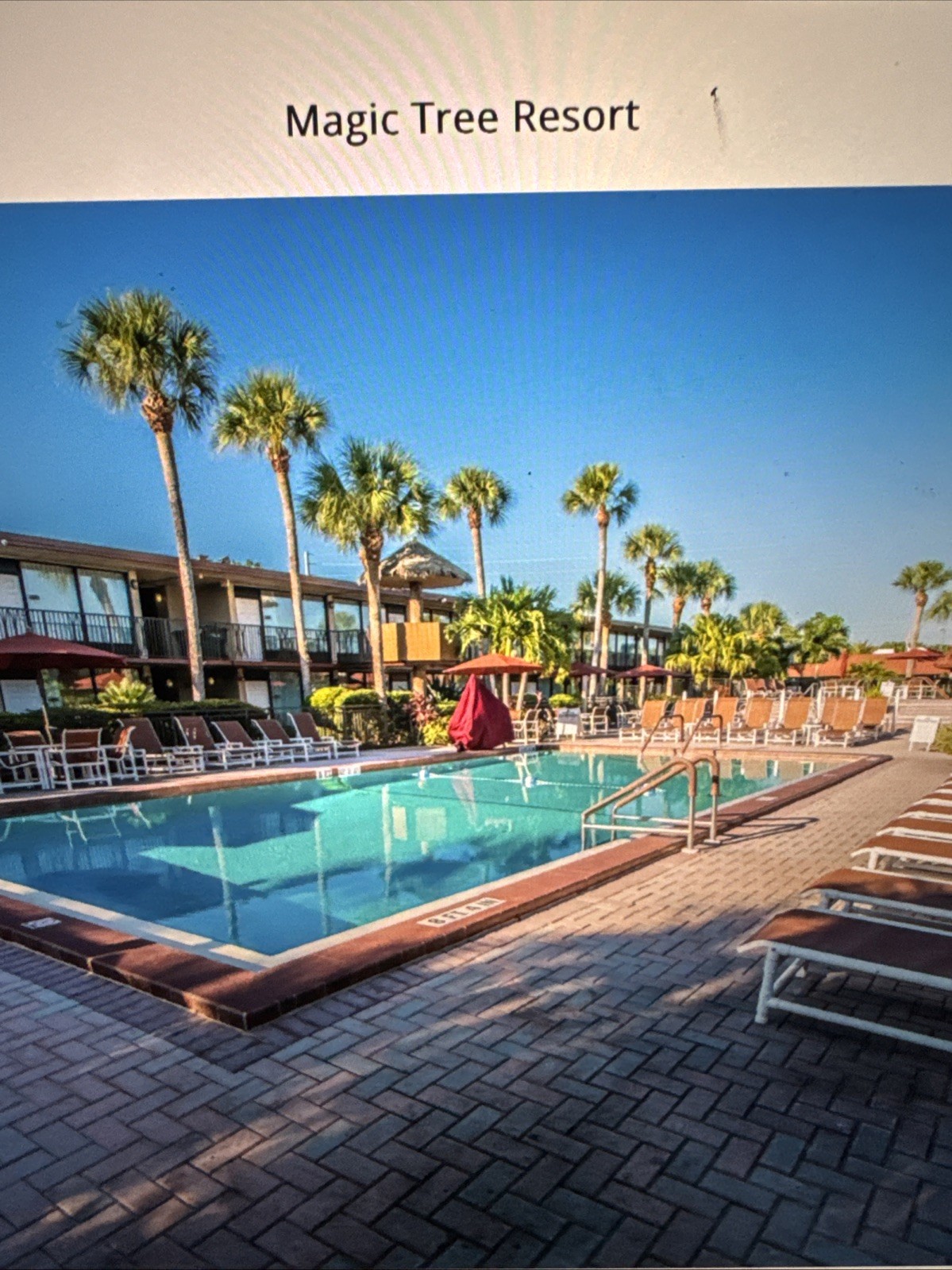 Timeshare Rental
