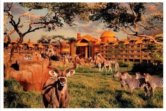 Disney’s Animal Kingdom Villas Kidani Village Disney Vacation Club Points Rental